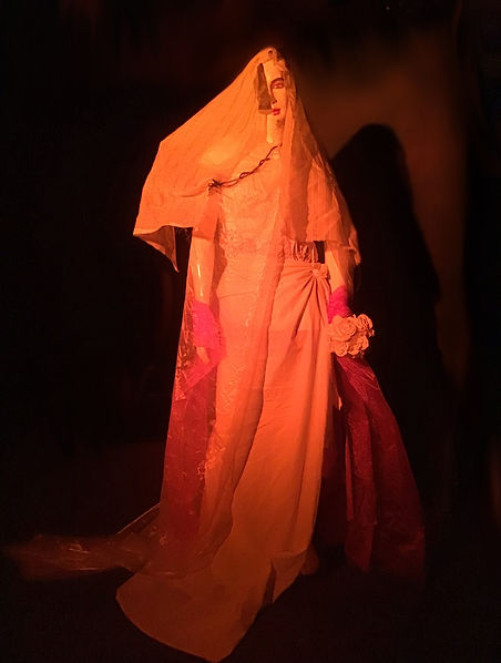 The Plastic Lady