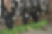 1566205766737.jpeg