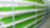 systeme-hydroponique-senegal-afrique-1.jpeg