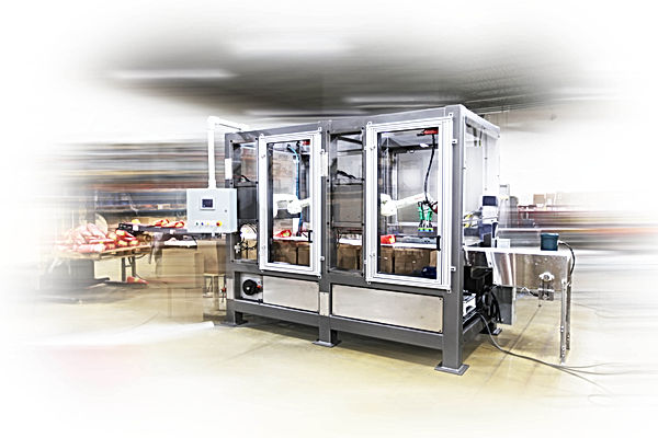 Robotic Bag Packer Kawasakis.jpg