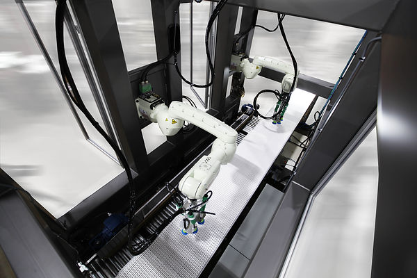 Robotic Bag Packer Kawasaki - interior.j