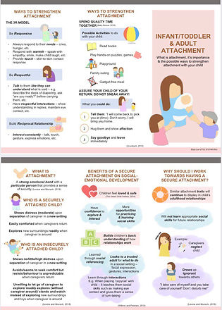 Infant/Toddler & Adult attachment brochu