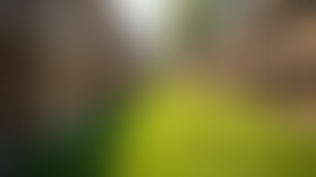 Am I Responsible for My Yard on Both Sides of the Fence?