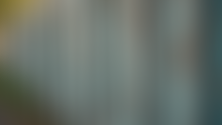 Painting vs Staining a Wood Fence: Which Option is Best for Your Property?