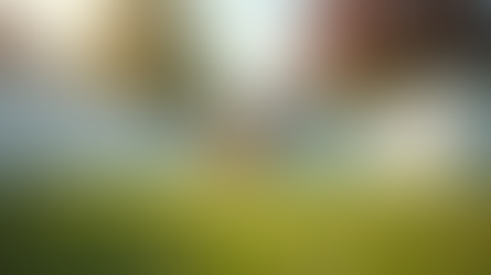 Top 5 Fencing Options for Dog Owners: Vinyl, Aluminum, Wood, and Chain Link