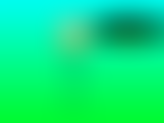 Günther and the WIRADHURI reflexive