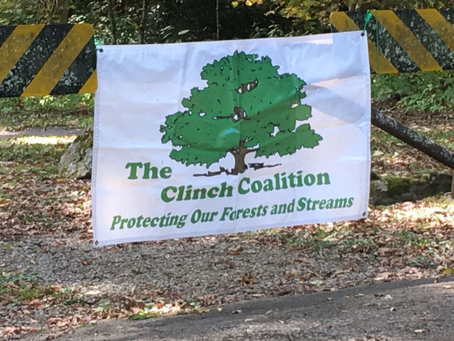 High Knob Naturalist Rally