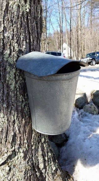 bucket