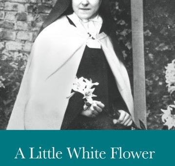 A Little White Flower by Canon Taylor