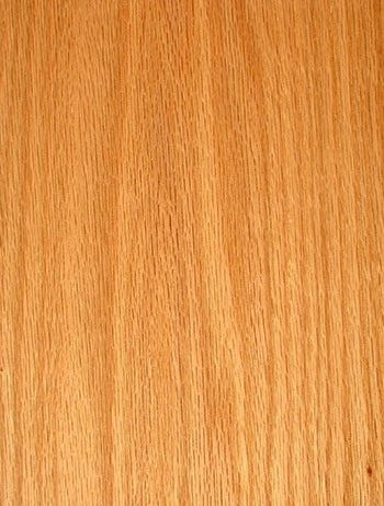 Plain-sawn red oak countertop sample with prominent open grain and warm color.