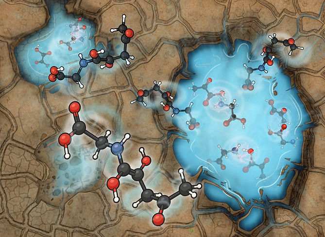 WhatsApp Image 2025-11-26 at 16.49.12.jpeg