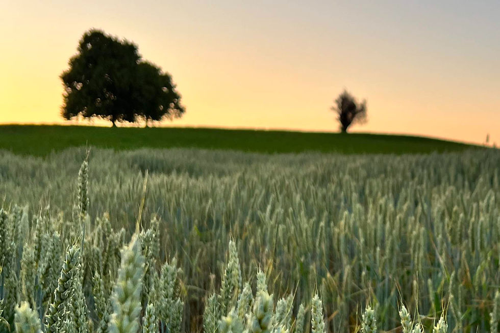 Ruhe Entspannung Doreen M. Gronwald