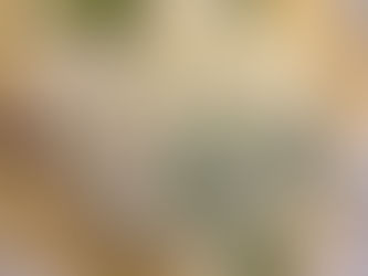 Simply Done Fresh Menu for 9/8/2025 Delivery