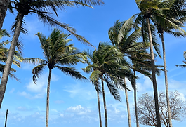 In 1950, Belgian entrepreneur Gérard Blitz officially launched Club Méditerranée—often known as Club Med—after pioneering the concept of all-inclusive vacation resorts. His idea was revolutionary: guests paid one price covering lodging, meals, drinks (including alcohol), sports, recreation, and entertainment. Club Med Cherating holds a special place in Club Med’s history, it was the first Club Med property to open in Asia, introducing the brand’s hallmark all-inclusive lifestyle to the region. Club Med  Cherating Beach offers a winning combination of lush natural surroundings, seamless all-inclusive convenience, creative family and adult experiences, and warm staff who bring energy and personal touch to every day. Whether you're after action-packed adventure or serene relaxation and everything in between a resort that ticks all the boxes. Guests of Club Med Club Med Cherating guests typically prioritize all-inclusive, activity-rich, and family-oriented vacations. They gravitate toward the extensive array of sports, leisure offerings, and professionally supervised kids’ clubs available at the resorts, appreciating the simplicity and value of a single inclusive package. The guest mix often comprises young families, couples, and friend groups seeking a stress-free, engaging break where everything—from meals and drinks to land and water-based entertainment—is taken care of. Many travellers value the diverse options and convenience that allow them to relax, bond, and pursue active fun in one seamless experience. In addition, Club Med Cherating presents intimate, adults-only resorts and tailored experiences for couples—from serene Zen Zones and romantic sunset dinners to luxurious couple’s spa treatments and premium rooms with breath-taking views. Their all-inclusive model ensures everything—from gourmet meals and open bars to entertainment and leisure—is smoothly handled, allowing couples to focus solely on connection and relaxation. Lastly, Sports lovers can indulge in a vast selection of activities included right in the package—tennis, golf, beach volleyball, archery, sailing, yoga, trapeze, and more, with expert coaching and all necessary equipment provided. For corporate guests, Club Med offers corporate-friendly, all-inclusive resorts that seamlessly blend leisure and professional needs. Their packages include accommodations, meals, open bars, and a full roster of sports, wellness, and evening entertainment—all with no hidden costs, making budgeting straightforward. Each resort features well-equipped meeting spaces and comprehensive event planning support, enabling hostable conferences, retreats, and incentive trips. Corporate groups can customize itineraries with tailored events, team-building challenges, and entertainment suited to their goals and culture. Whether you're honing a favorite sport or exploring new ones, there’s something for every person at Club Med Cherating. How do I get to Club Med Cherating? Driving from Kuala Lumpur to Cherating is widely considered the most popular and convenient option. The journey spans approximately 275 km   and typically takes around 2 hours and 40 minutes via the East Coast Expressway (E8), including the Karak stretch. Starting from Klang Valley, you head north onto the Kuala Lumpur–Karak Expressway, then continue straight along the East Coast route toward the Pahang coast. With well-placed highway signage, frequent rest stops, and GPS navigation (e.g., Waze or Google Maps), the drive is smooth and straightforward. Fuel stations and toll kiosks are conveniently located en route. If you're watching your budget and don’t mind a longer journey, taking a bus from Kuala Lumpur to  Cherating Beach is a solid option. Currently, the most convenient route involves departing from Terminal Bersepadu Selatan (TBS) and riding an express bus to the Kemaman Express Bus Terminal , which sits roughly 15 minutes from Cherating Beach . From Kemaman, you can easily continue your trip by taxi or e-hailing to reach the beach resort area. Multiple operators—such as Nini Express, Mara Liner, Ayu Express, Res2 Express, and Transnational—offer daily services between TBS and Kemaman, with journey times around 5 to 6 hours.   Traveling to Club Med Cherating by air means booking a flight to Sultan Haji Ahmad Shah Airport (KUA)—also known as Kuantan Airport—the closest airport to Cherating Beach. After landing at KUA, you can book a pre-arranged airport transfer or simply take a taxi or e-hailing ride to the resort. The road from Kuantan Airport to Cherating spans approximately 53–62 km ,  and travel time typically ranges between 45 and 60 minutes ,  depending on traffic and exact destination. Activities offered at Club Med Cherating When vacationing at a beach paradise like Cherating, you’re not limited to surfing, swimming, or sunbathing. At Club Med Cherating Beach, you're invited to dive into a broad menu of land and sea activities—everything is included in your stay. Whether you want to learn something new or revisit a skill you haven’t used in years, the resort’s diverse offerings keep adventures fresh and fun. Curious about what’s available? From rock climbing ,  flying trapeze , archery , and   tennis , to sailing , kayaking , stand-up paddle boarding , and aqua fitness, plus eco-treks, yoga, nature walks, and night-time firefly cruises—there’s something for everyone.  Club Med Cherating G. Os – Your own personal hypeman! Perhaps the most truly remarkable aspect of Club Med is the staff’s (known as G. Os) commitment towards incorporating the element of fun and surprises throughout every single aspect of the day. The first glimpse into the fun-loving demeanour begins upon arrival, where the general manager of Club Med Cherating personally welcomes all guests arriving in the premises. This is followed by a theme night dress-up, where guests are encouraged to reflected a selected colour in their evening attire. Since its creation, Club Med highlights 5 key values linked to the company's DNA: kindness, multiculturalism, pioneer spirit, freedom and responsibility. Perhaps these values are what attracts visitors back to this resort getaway, back to an experience that is unlike any other in the market. Allow us plan your next retreat to this hidden gem nestled on the beaches of Malaysia’s east coast - we offer customization and tailor-made itineraries to accommodate all your travel needs!  Visit: https://seduniatravel.com/holidays/malaysia/4d3n-club-med-cherating/ , call 03-2779 5479 (KUL) / 04-9420353 (PEN), or message on WhatsApp: https://wa.me/60321420222  for further enquiries.
