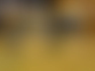 第4回体験練習を開催しました