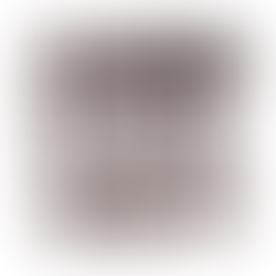 Доаѓаат врвни европски писателски ѕвезди