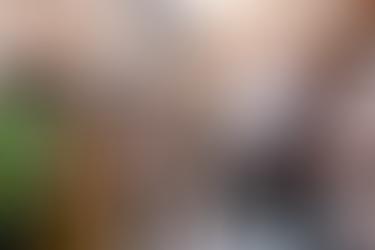 Костадиновска-Стојчевска: Конзерваторите од Солун и Битола даваат долгорочна заштита на вредниот фре