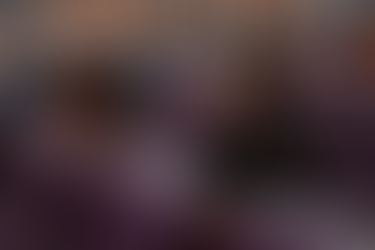 Пропишано е задолжително лекторирање на сите објавени материјали