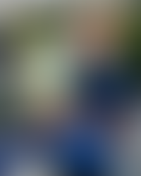 Зверев по првата победа го освои и првиот трофеј во Синсинати