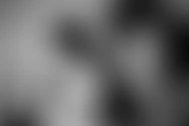 Денови исполнети со музички ѕвезди, инспиративни изложби, театарска претстава за деца, поезија