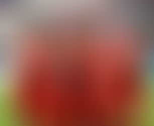 Македонија не е без шанси за првото место во групата