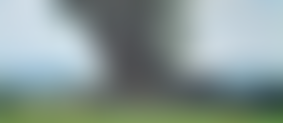  Видео и Фото  од повеке портали Гори „Нулта отпад“ во Трубарево: Огромен чад го прекри Скопје Maкедонија со сите населбит Аеродром Мадџари Хиподром и цел град се гуши од овој опасен отпад на батерии