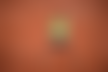 Тони: Пред Надал се уште две-три добри сезони