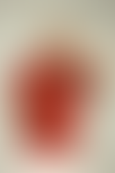 Замина актерот Трајче Ѓоргиев, основач на фестивалот „ПАНФИЗ“