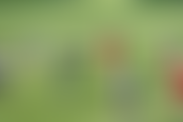 ФУДБАЛ – КВАЛИФИКАЦИИ ЗА СП 2022, МАКЕДОНИЈА ДЕНЕСКА ЈА ПРЕЧЕКУВА ЕРМЕНИЈА