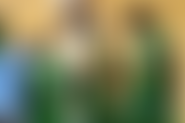 Црни седум минути за Пелистер го упропастија гостувањето во Подгорица