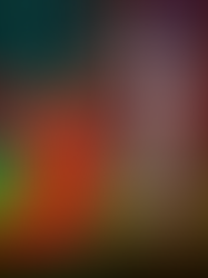 Еве што напиша на социалната мрежа фејзбук Македонскиот фудбалер Александар Трајковски по оставката и заминувањто од репрезентацијата на Македонија за квалификации светско 2026