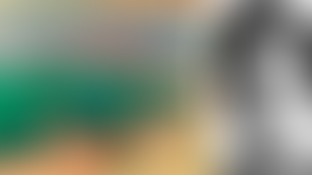 Ален Делон ја продаде својата уметничка колекција