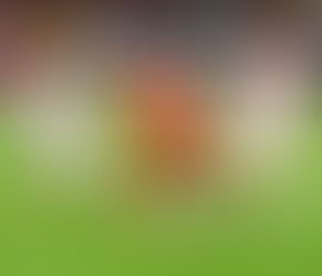 Грузија го искористи падот на Македонија во второто полувреме