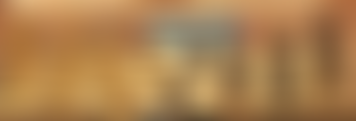 ТУРНИРИ ВО БРЗ И ВО ЗАБРЗАН ШАХ