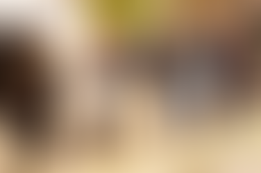 Конечно без километарски редици во пандемијата, за проекти од култура ќе се аплицира онлајн