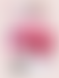 На 29 јуни хуманитарен концерт во Спомен-куќата на Тоше Проески