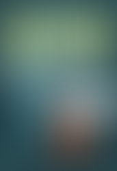 Книга: „Бризбејн“ – илузија и утописки идеал?