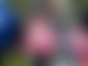 Maakondlik jooksusari lõpetati Võsul