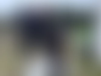 Lääne-Virumaa koolide basseinitriatlon 2026 tõi Vinnisse noored sportlased üle maakonna