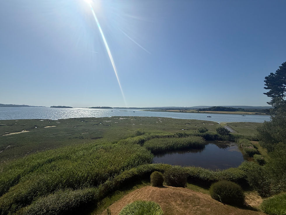 Private Islands in Poole Harbour: How Many Are There?