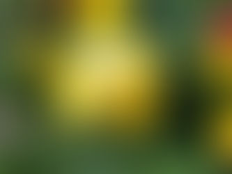 Beware the Prowling Devil