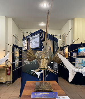 Océanissime Nantes 2025