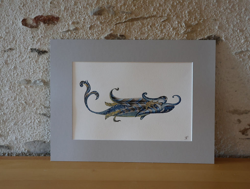 Miniature : Tirage d'Art - Dauphin d'Amaury de Montal