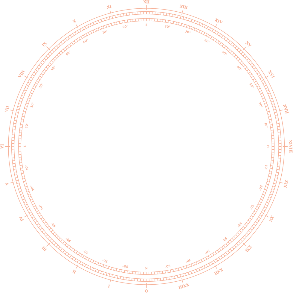 ROUE ASTROLABE ROSE.png