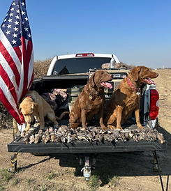 ALL DAY DOVE HUNTING $225 Per gunhunter _ Ladies and juniors pay $200 hunter No none-hunt