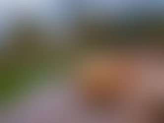 Best Ways to Beat COVID Claustrophobia This Winter Without Leaving Home