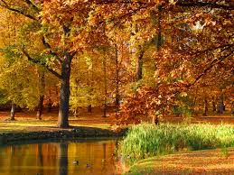 5 Mesmerizing countries to visit in Autumn!