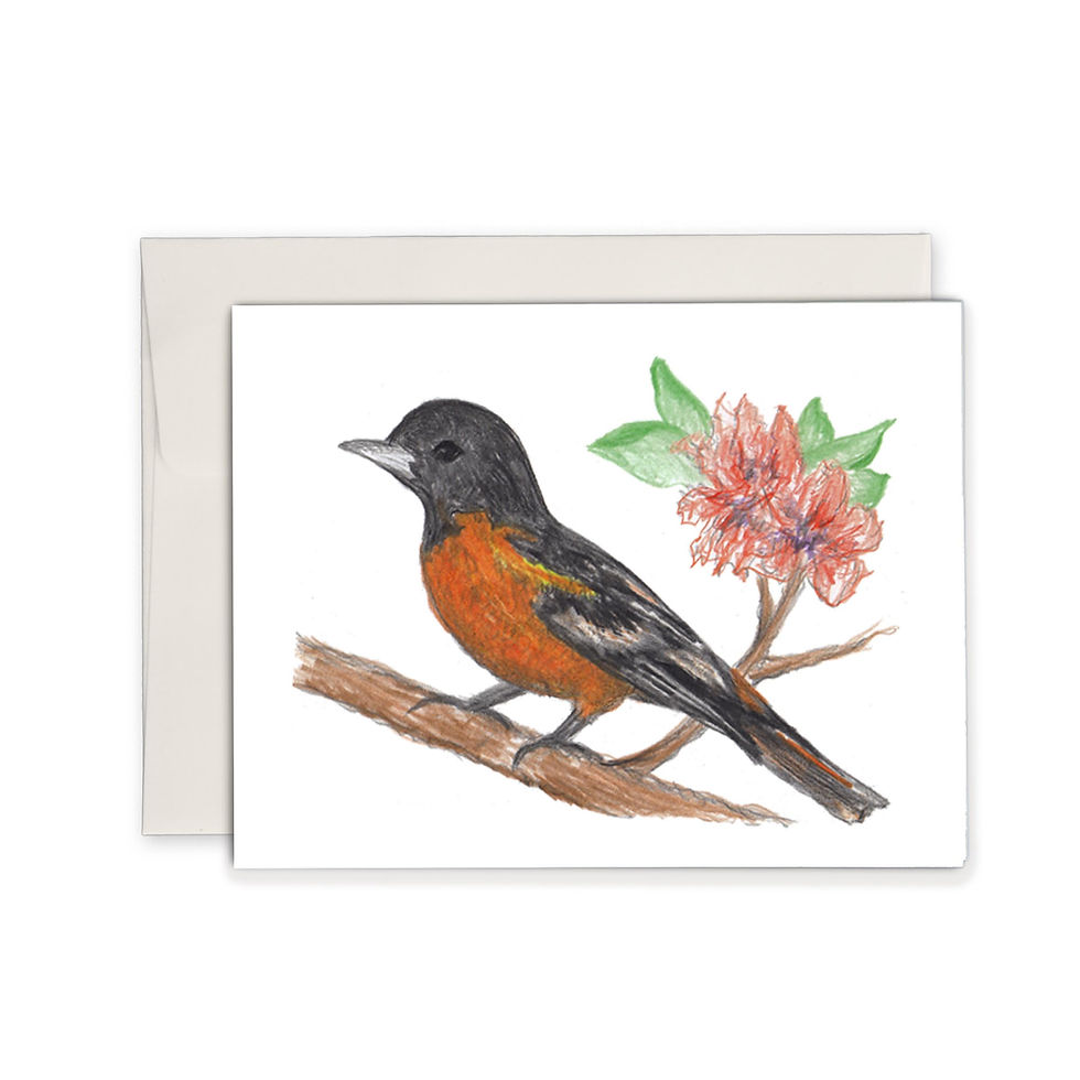 Thumbnail: Beautiful Birds Note Set