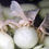 Thumbnail: 100% Organic Peace Silk