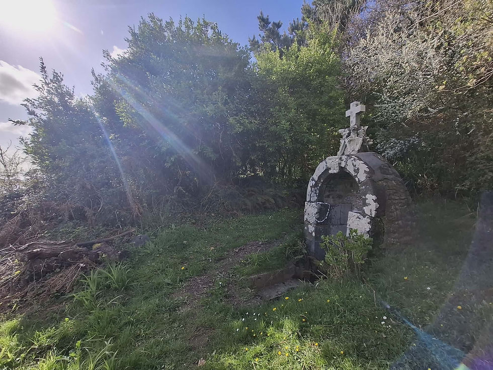 COMMENT ON A REMPLACE LES ESPRITS DE L'EAU PAR DES SAINTS EN FRANCE :